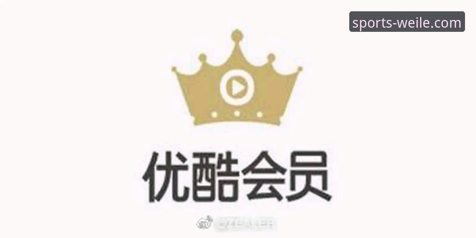 深度揭秘微乐VIP会员：体育赛事爱好者的终极选择与实战反馈